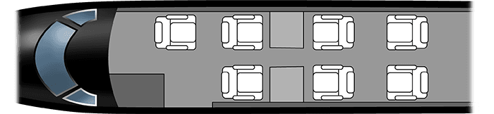 Phenom 300