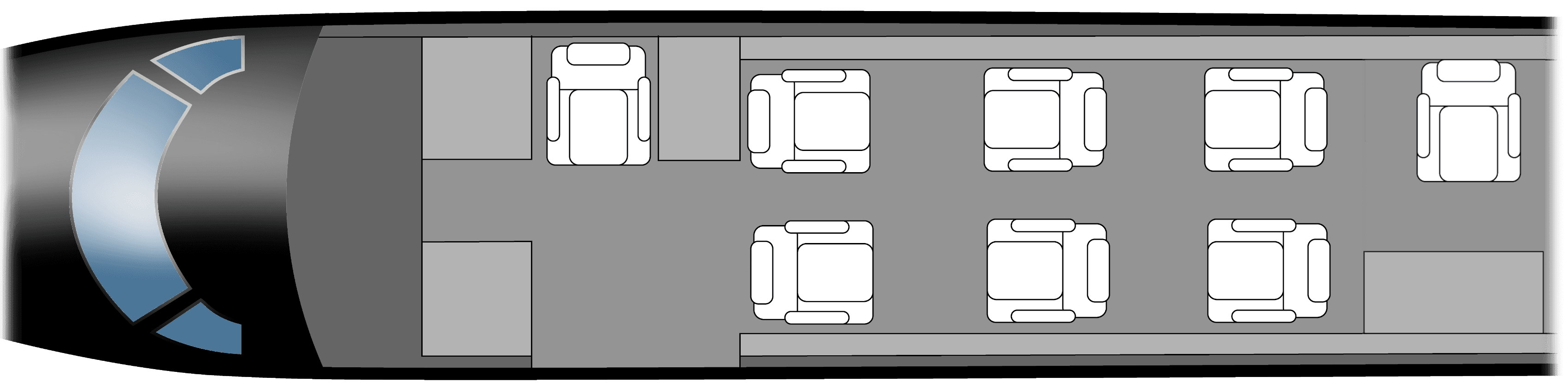 Phenom 300