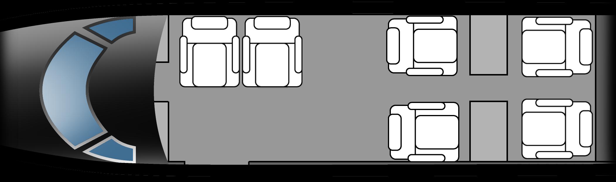 Falcon 100