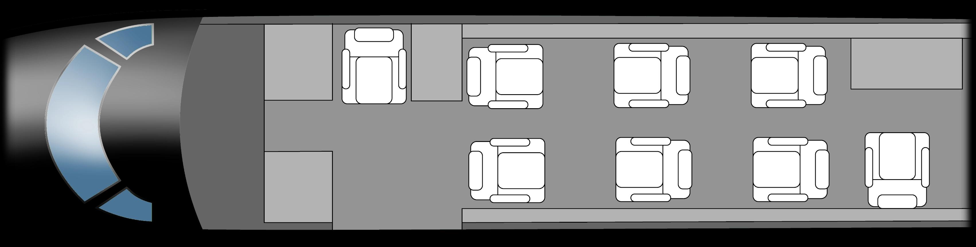 Citation CJ2+