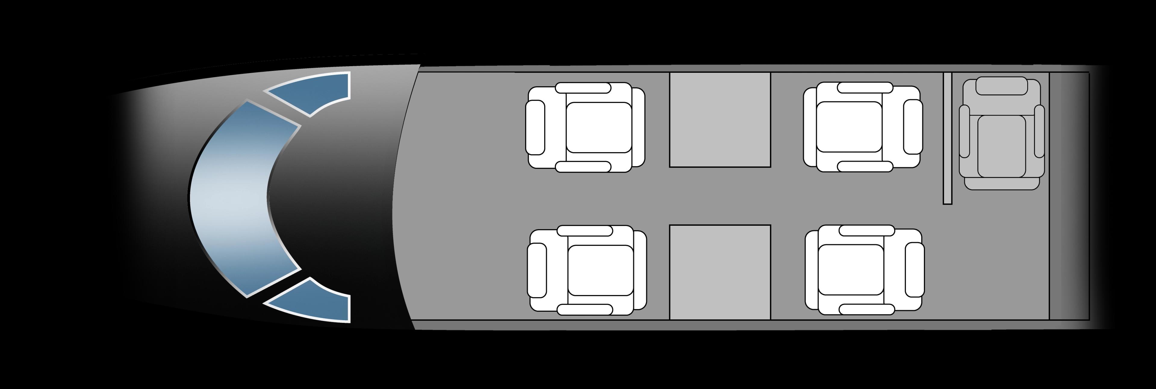 Phenom 100