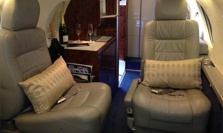 Falcon 100