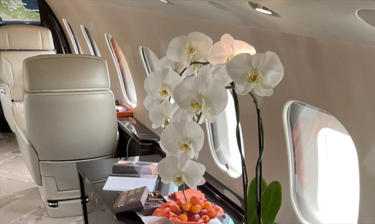 Global 6500
