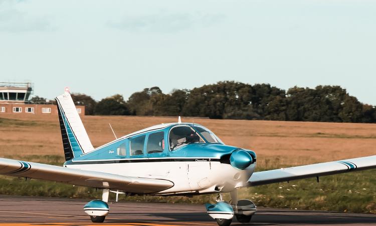 Piper Dakota