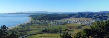 Arauco