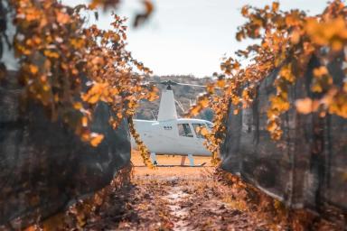Mendoza