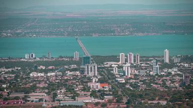 Palmas