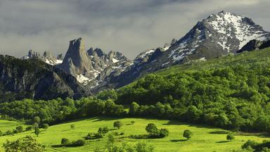 Bulnes