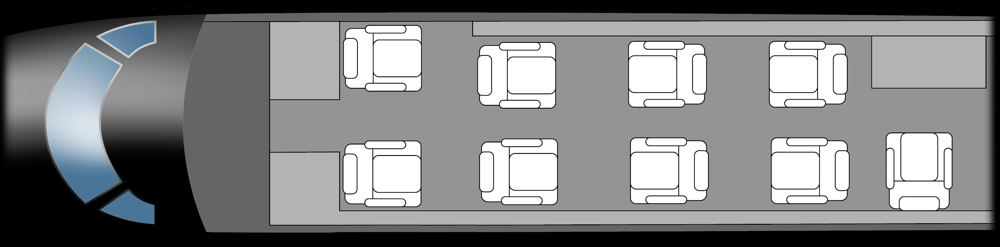 Citation V