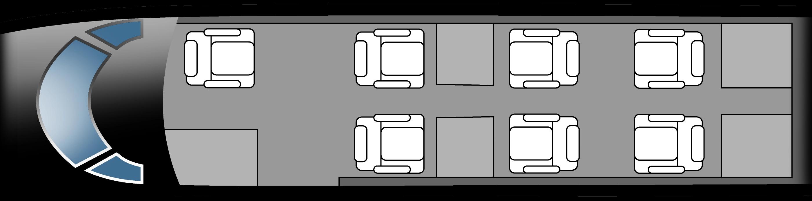 Phenom 300
