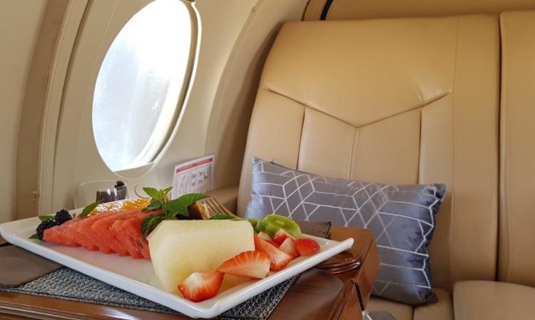 Falcon 100