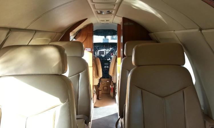 Falcon 100