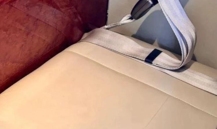 Citation CJ2+