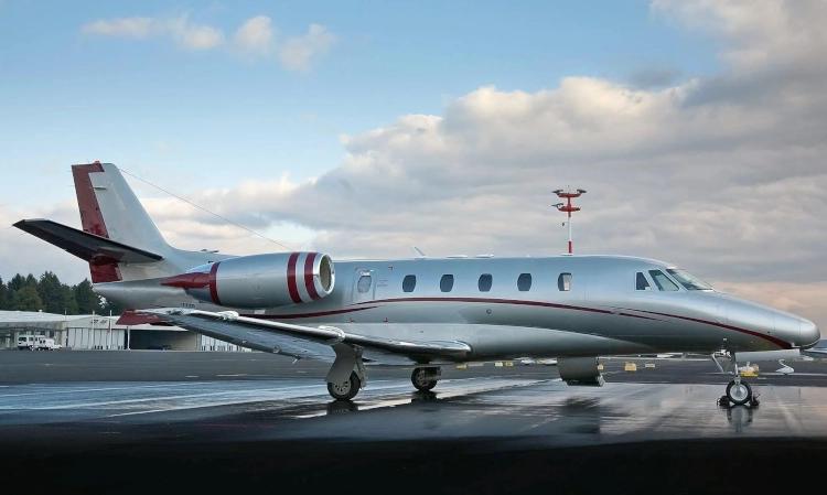 Citation Excel