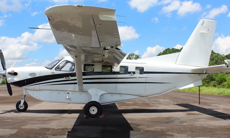 Kodiak 100