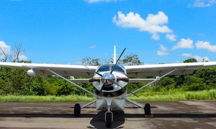 Kodiak 100