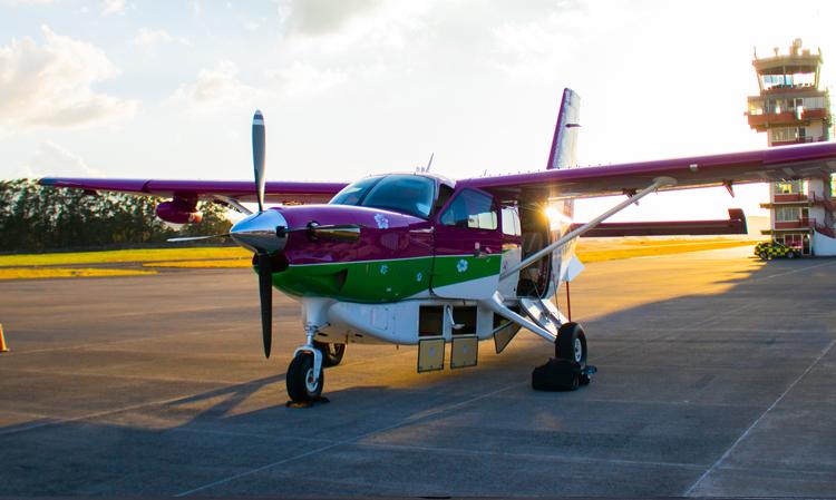 Kodiak 100