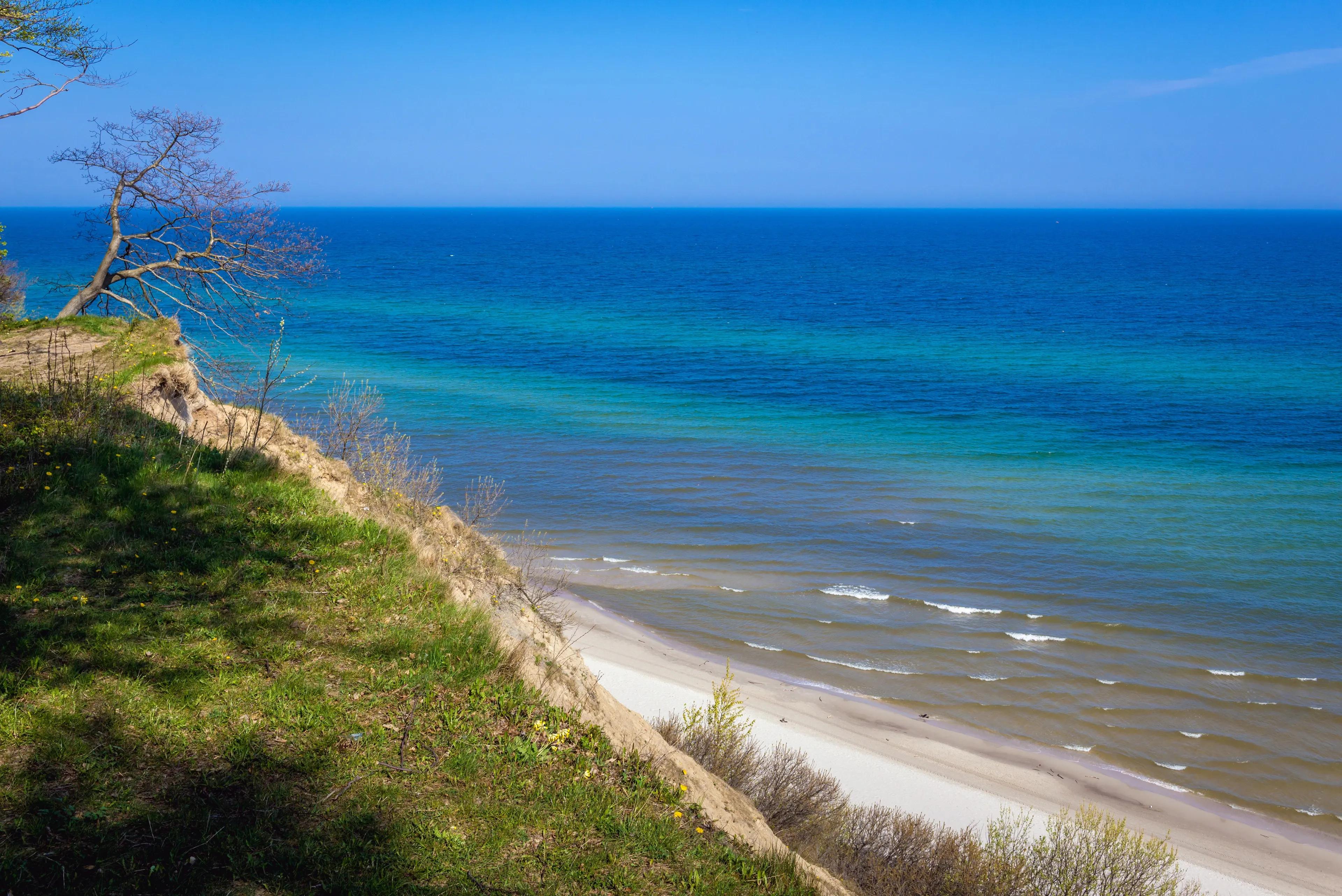 flapper team at toluca airport