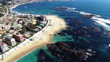 Algarrobo