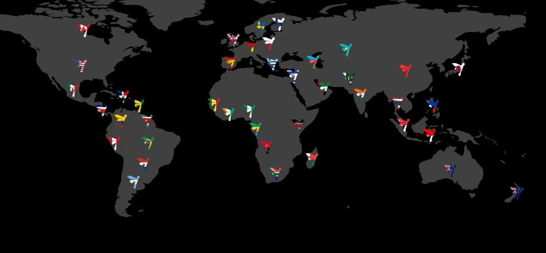 contact brackground image