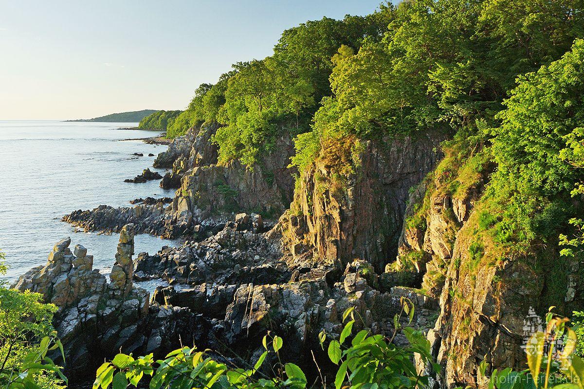 flapper team at toluca airport