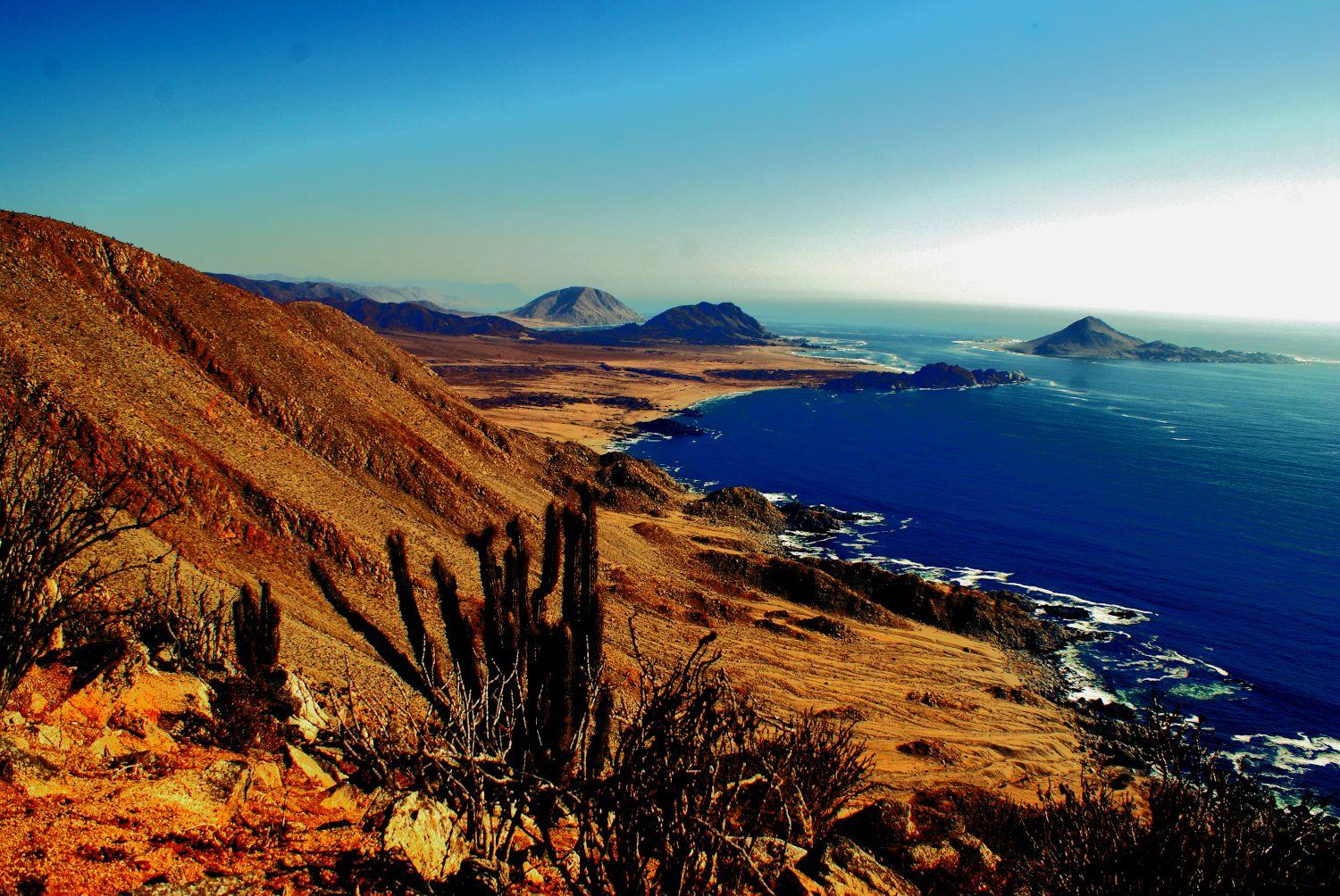 flapper team at toluca airport