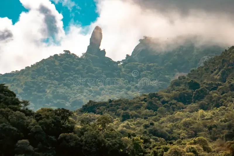 flapper team at toluca airport