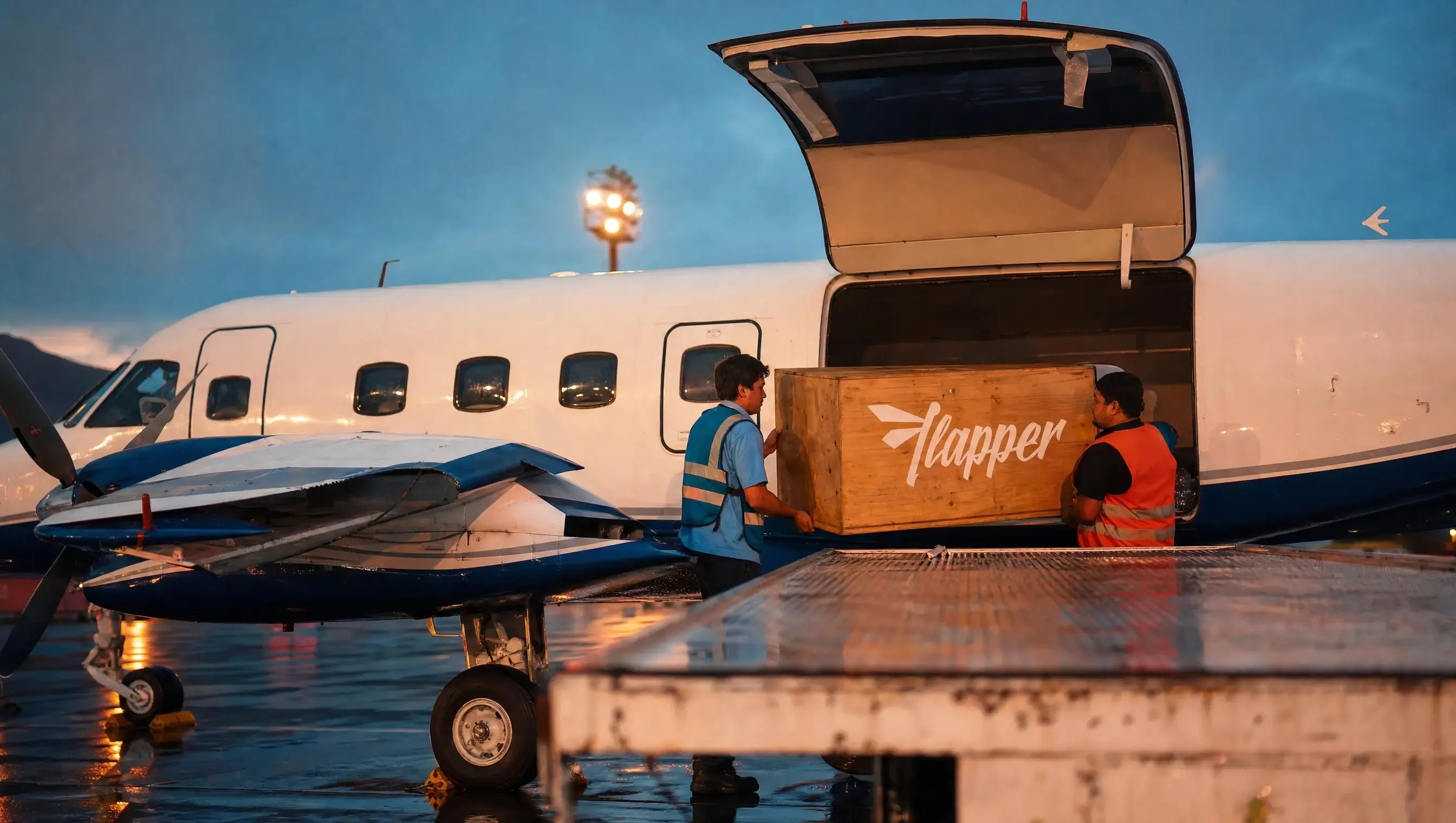 Air Cargo Charter and Sensitive Logistics