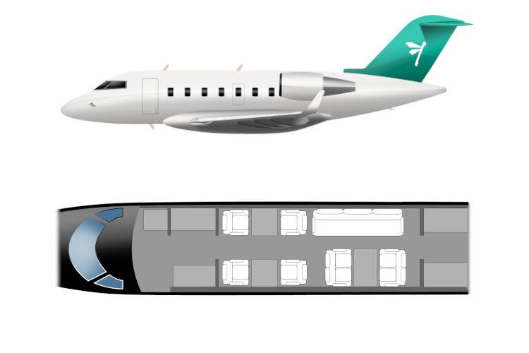 Vista lateral del Challenger 604, Flapper Brasil