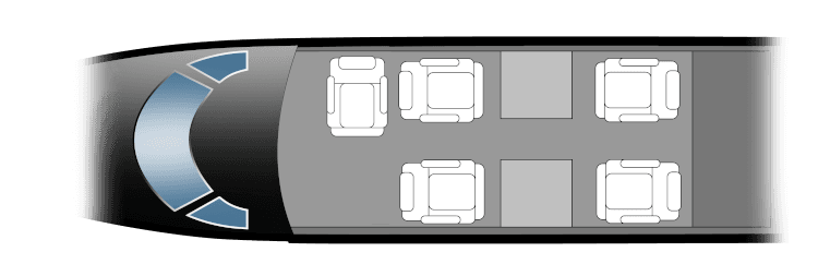 Phenom 100
